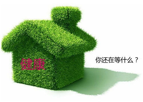 红树科与披碱草：盐碱地中的绿色守护者