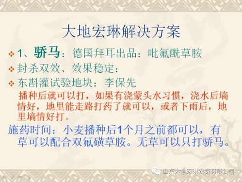 春季防治病虫害的打药时机大揭秘