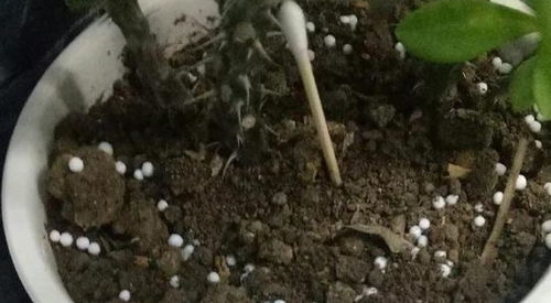 注意事项， 不Neng少