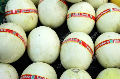 香瓜正季6-8月，夏季爆款香瓜上市！