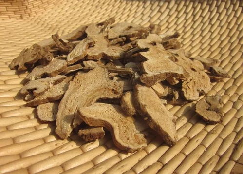 不同雨量下的急救方案