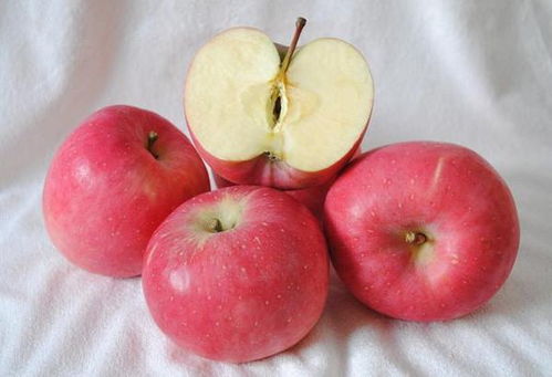 苹果椒的种子，嫩吃吗？来来来听听老李的碎碎念