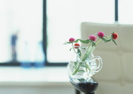 选对花瓶， 让花儿有家可归