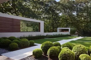 一、 天鹅绒草坪