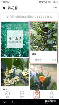 手机拍照识万物， 百度带我们走进植物王国