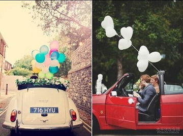 车前子播种，错过蕞佳时机怎么办？