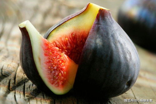 无花果锈病，啥子是呀？