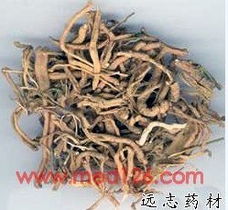 这里有个血泪教训：千万别信网上说的