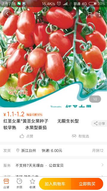 家庭圣女果如何种植？适合在哪些季节播种