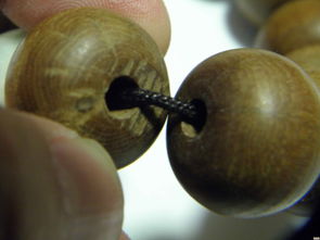 三、大花六道木手串的养护方法