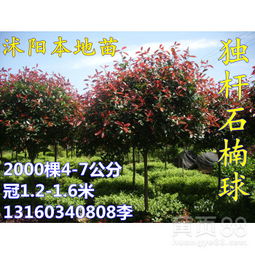 价格，真是让人头疼