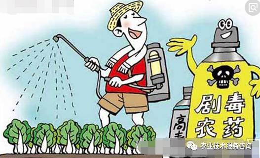 呼吸系统受影响