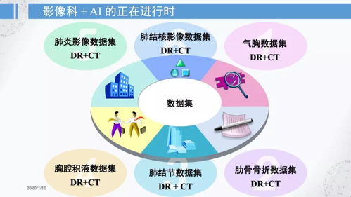 什么是人工胚乳？