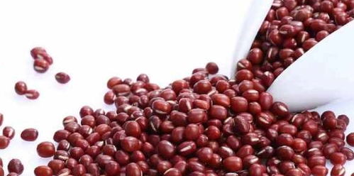 “花界红宝石：赤豆与红豆大揭秘！”