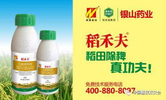 干悬浮剂的定义及特点