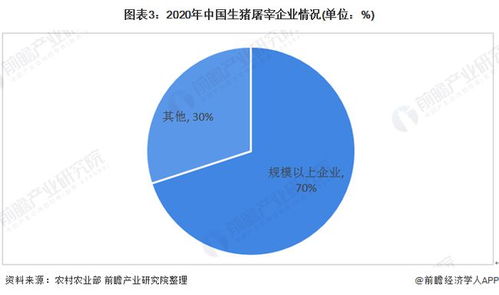 农业养殖规模问题剖析