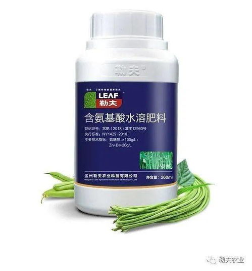 防治豆角锈病，我有妙招！