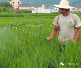 农药中的“坏蛋”