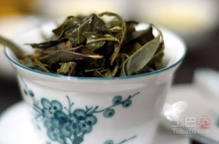 乌龙茶有哪些品种？不同品种的口感区别是什么