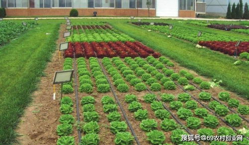 中原大地--河南!