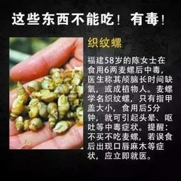 盐如何致命树木？一袋盐能否致命