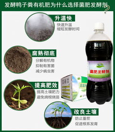 鹅粪作为肥料使用时其营养成分含量和肥效如何