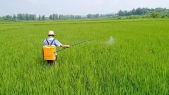 高绿农药的发现者：章柏波