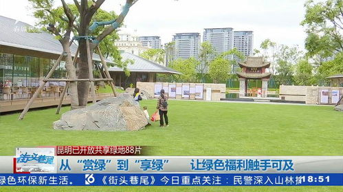 运动健康：活力四射的乐园