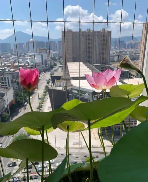 秋天播种要赶早