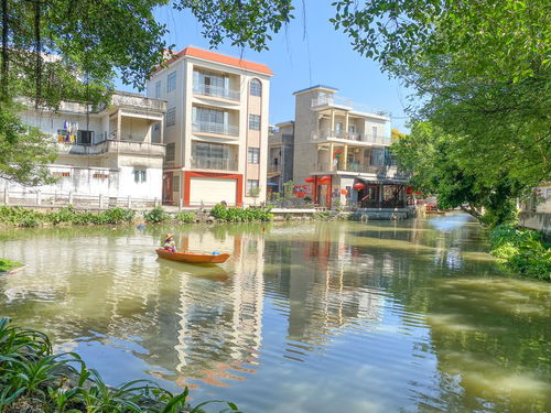 七、园林植物方向的研究生专业