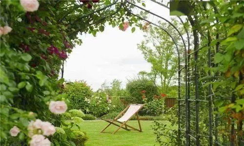 庭院花园植物搭配的艺术与技巧