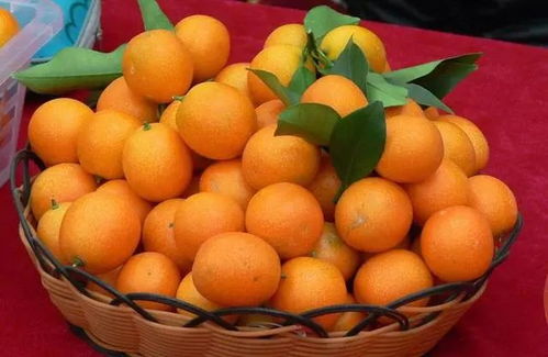 低毒农药， 7天左右Ke以吃