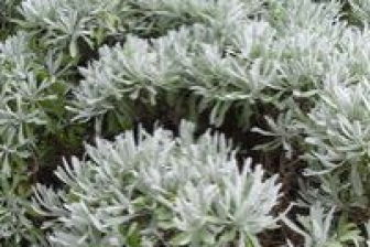 湿度平衡术：干湿两用方案