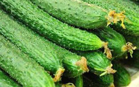 黄瓜：夏季的“清凉使者”