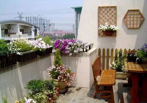 小阳台的绿意盎然：低矮栅栏的攀爬花卉选择