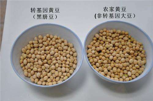 上海豆粕市场，中粮豆粕旗下有几个不同品牌？