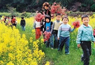 2024年清明节将至