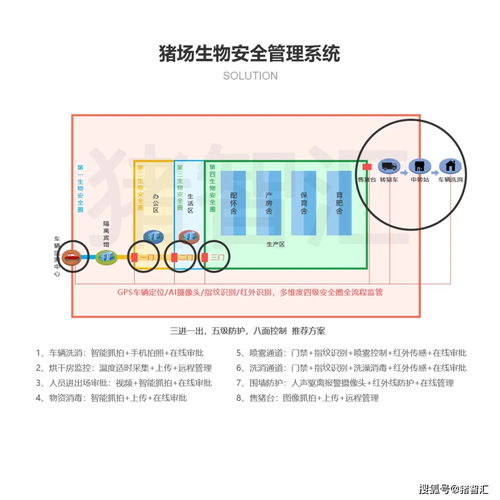 猪场温度管理要点：通风、湿度、设备调控