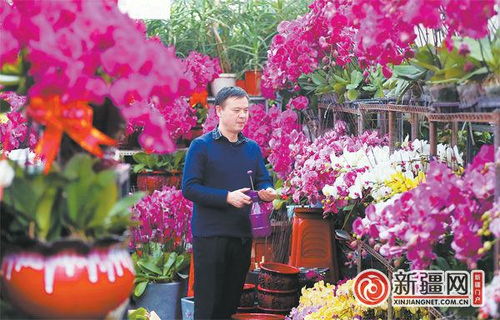 花卉市场的旺季与需求