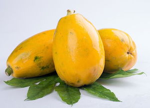 洗洗梗健康， 木瓜种子要清洗