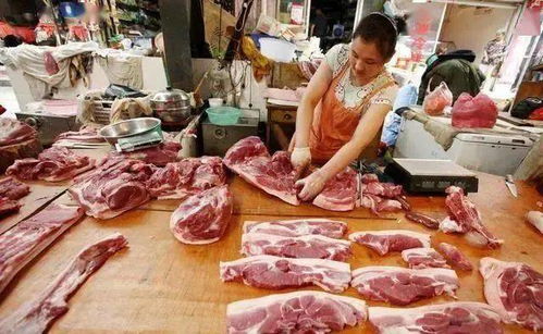 宁夏黑猪肉质佳耐粗饲，为何市场占有率这么低？