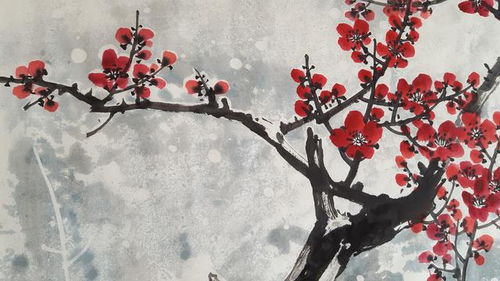 梅花不同颜色分别代表什么情感，能详细解释一下梅花语的奥秘吗