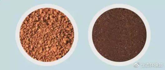 土壤里的秘密：2甲4氯钠的残留之旅