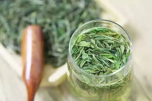 茶叶采摘，那些你不知道的小秘密
