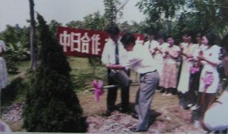 农药厂的辉煌历史