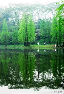 生态园林绿化栽植方法