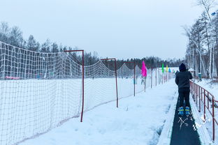 耐寒花卉生长监测表