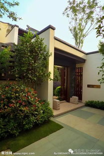 地毯草：耐踩踏， 容易复苏