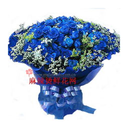 蓝色妖姬鲜花价格贵吗？不同枝数价格差异大吗