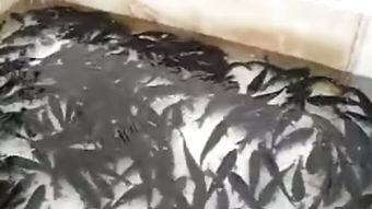 小心使用， 平安第一